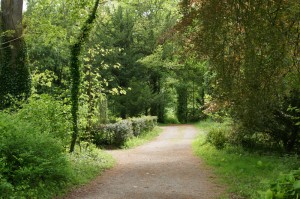 Iireland: A Path