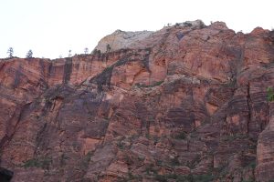 Zion National Park-1062