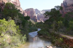Zion National Park-1066