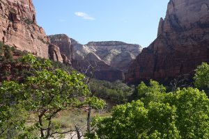 Zion National Park-1070