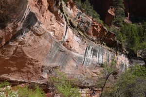 Zion National Park-1078