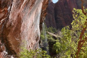 Zion National Park-1079