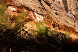 Zion National Park-1080