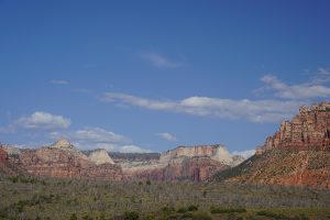 Zion National Park-1100