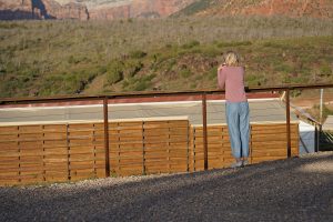 Zion National Park-1108