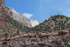 Zion National Park-1111